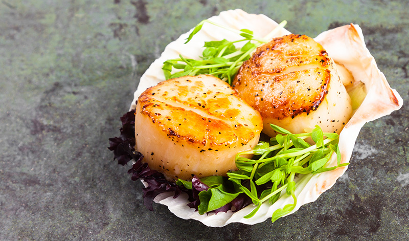 Scallops with White Beans