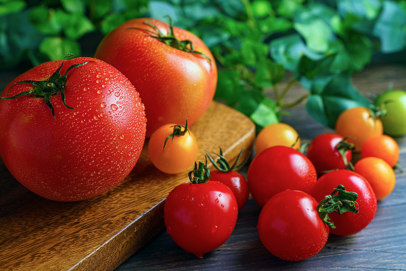 Fresh Tomato Salsa (HmF)