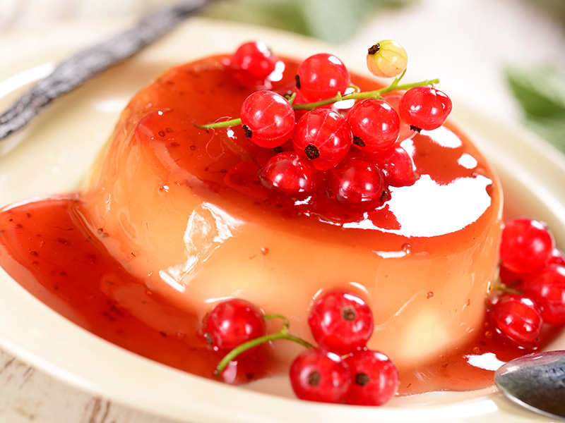 Holiday Panna Cotta with Chocolate Cranberry Sauce